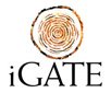 iGate